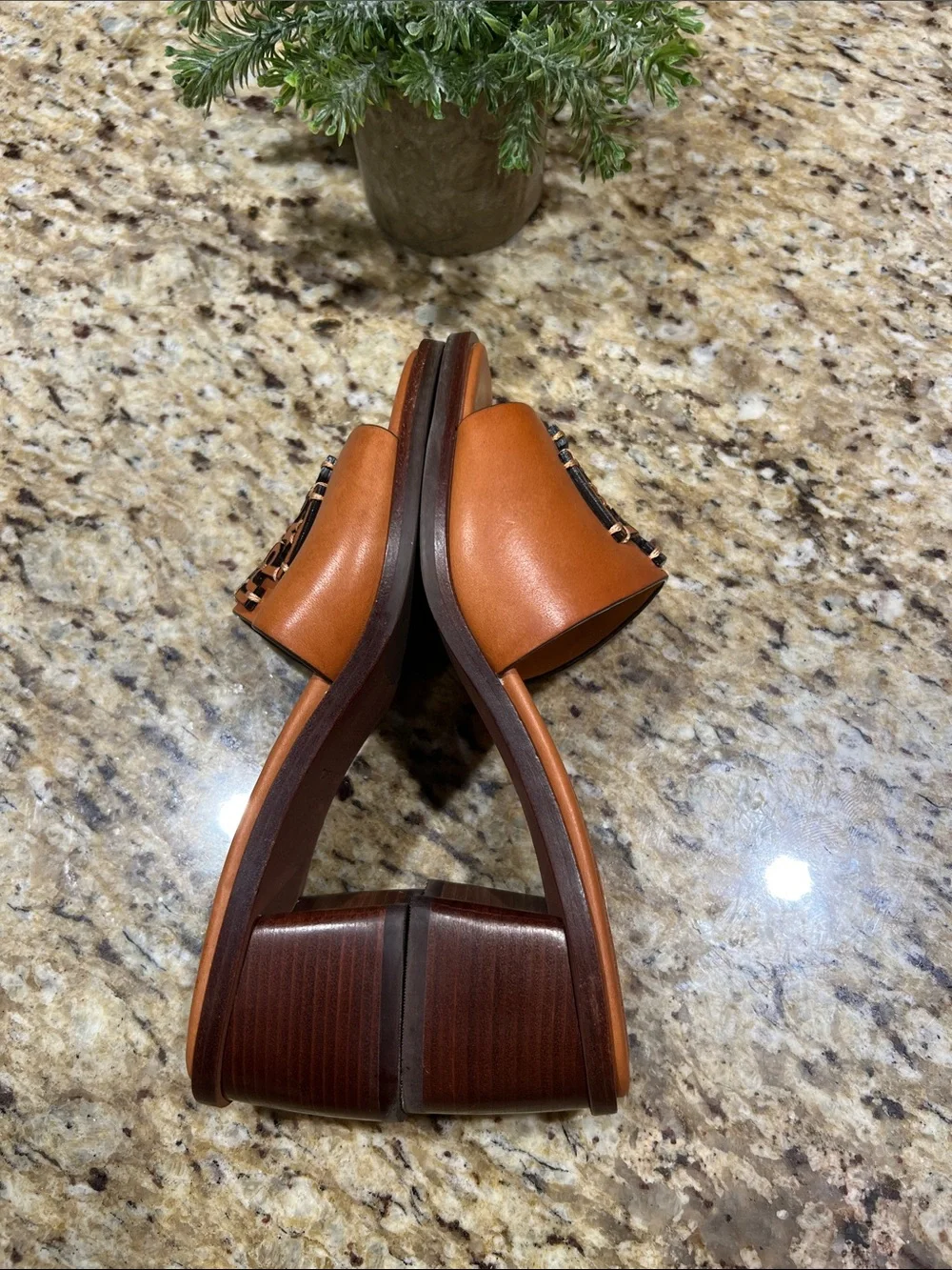 Tory Burch Ines Brown Leather Block Heel Mules 7M